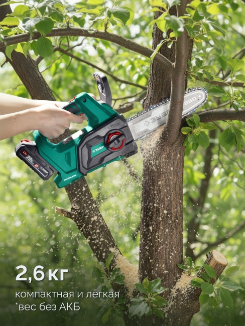 Пила цепная аккумуляторная ПЦБ-2025-21 ЗУБР 20 В, 250 мм шина, 1 АКБ LMS (2 Ач)